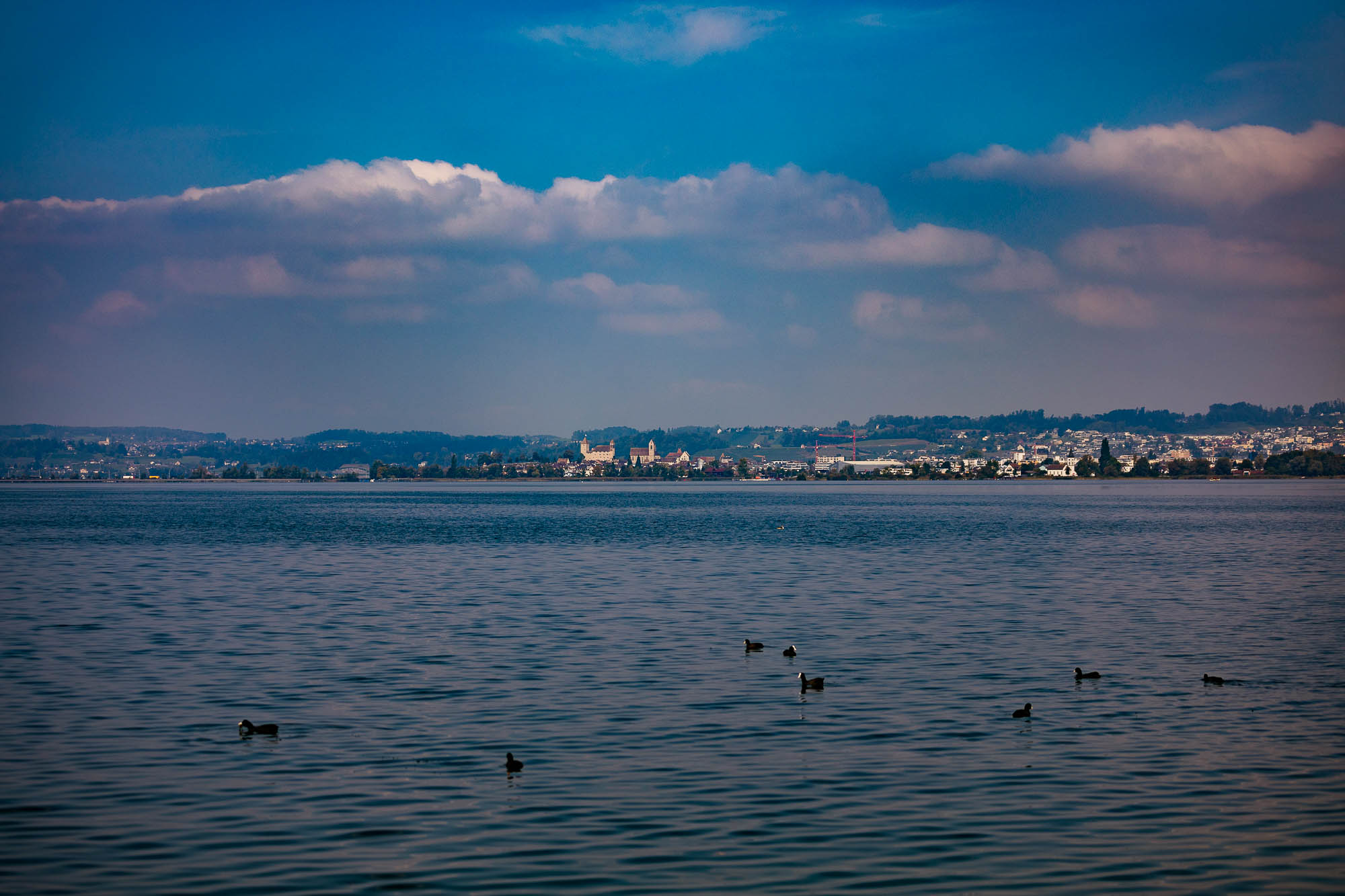 Export x3 5D4 4001 Hochzeit 2020 Muriel & Trevor